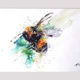 ' Spring greens Bee