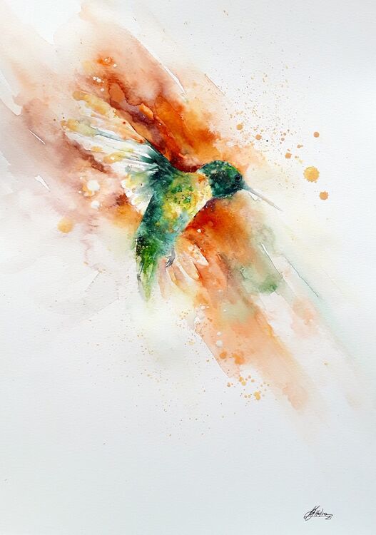 Hummingbird