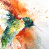 ' Catching the light ' extra image