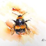 ' Clementine ' £115 Bee