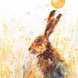 ' Indian summer ' Hare