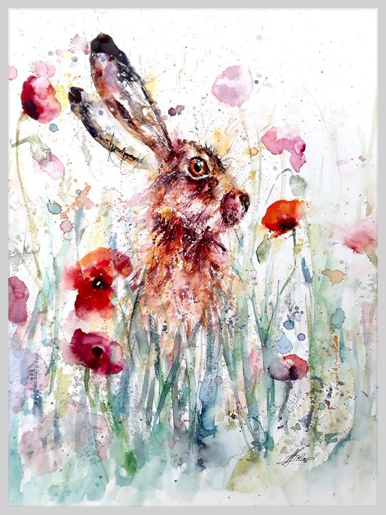 Hare
