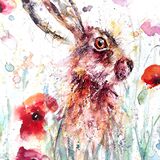 Hare with poppies