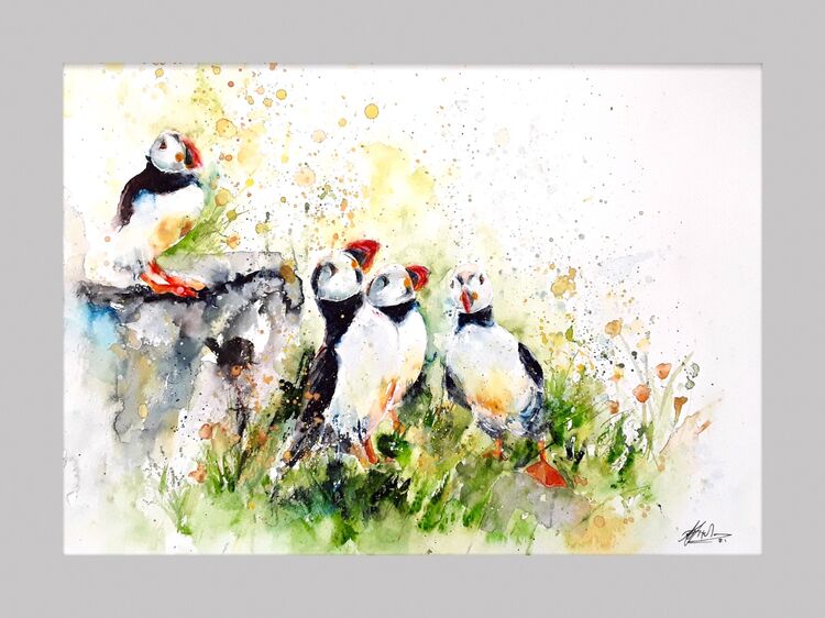 Puffins