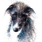 Pet portraits - my style