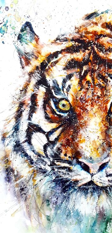 Sumatran tiger - detail image