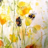 California - extra image Bees