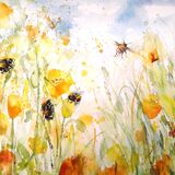California - extra image Bees