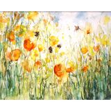 " California " Bees