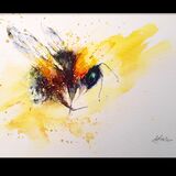 ' Dash ' Bee