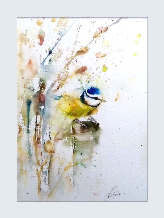 Blue tit bird