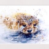 ' Shimmering beauties ' Otter