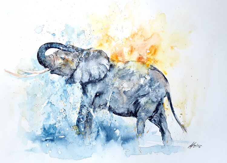 Elephant