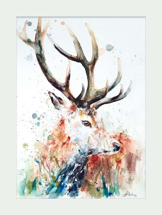 Majestic Stag