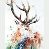 ' Quiet reflection ' SOLD Majestic Stag