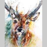 " Highland mist " SOLD Stag