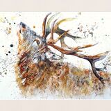 Stag Stag painting