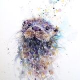 " Bubbles " Otter