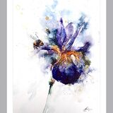 " Bee friendly " SOLD Bee iris