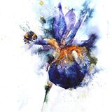 Bee & Iris Bee