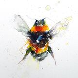 " Happy daze " 17/50 Bee