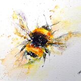 " A lovely day " 5/50 Bee
