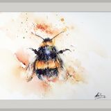 ' Nectar collector ' RESERVED FOR WALES GALLERY Bee