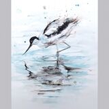 ' Reflection ' 12/50 Avocet