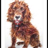 ' First love ' Pet portrait