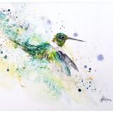 ' Lively ' Hummingbird