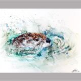 Little river otter 3/75 Otter painting