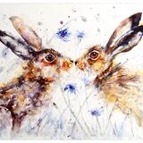 'Cornflower kisses' Kissing hares
