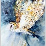 " Night owl " Barn owl painting