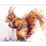 Little red squirrel Red squirrel