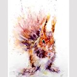 'Perfectly balanced' Red squirrel