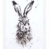'Wild & unique ' SOLD Hare sketch
