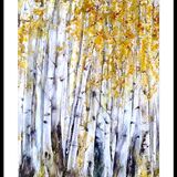 Silver Birch 2 SOLD