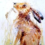 Hare with grasses