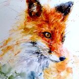 Another foxy