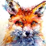 Foxy