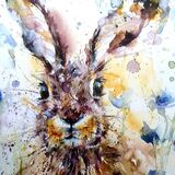 Hare and cornflowers