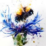 ' Cornflower blue ' Bee cornflower