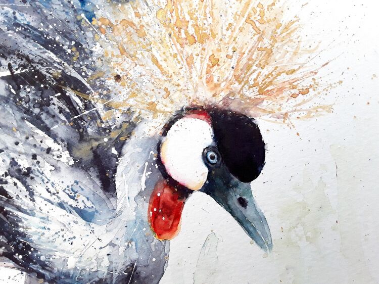 Crested crane