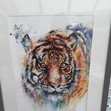 Sumatran tiger Tiger