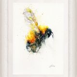 ' Here comes the sun ' SOLD Bee
