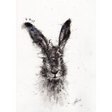 ' Beautifully bold ' Limited edition 8/50 Hare