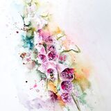 ' I'm going in ' Bee foxglove painting