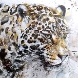 Big cat painting Big cat leopard painting