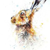 Hare study