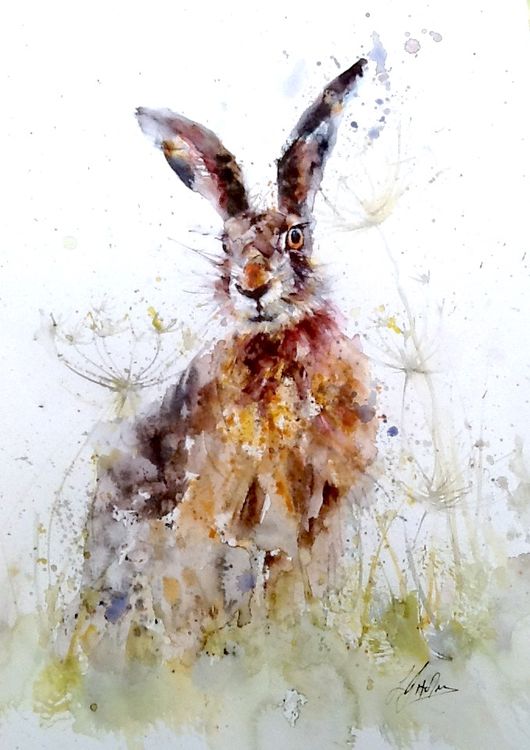 Hare